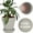 Gray, variant on 8 Inch Clay Pot for Plant with Saucer - 2 Pack Large Terra Cotta Plant Pot with Drainage Hole, Clay Planters Pot, Terracotta Pot for Indoor Outdoor Plant