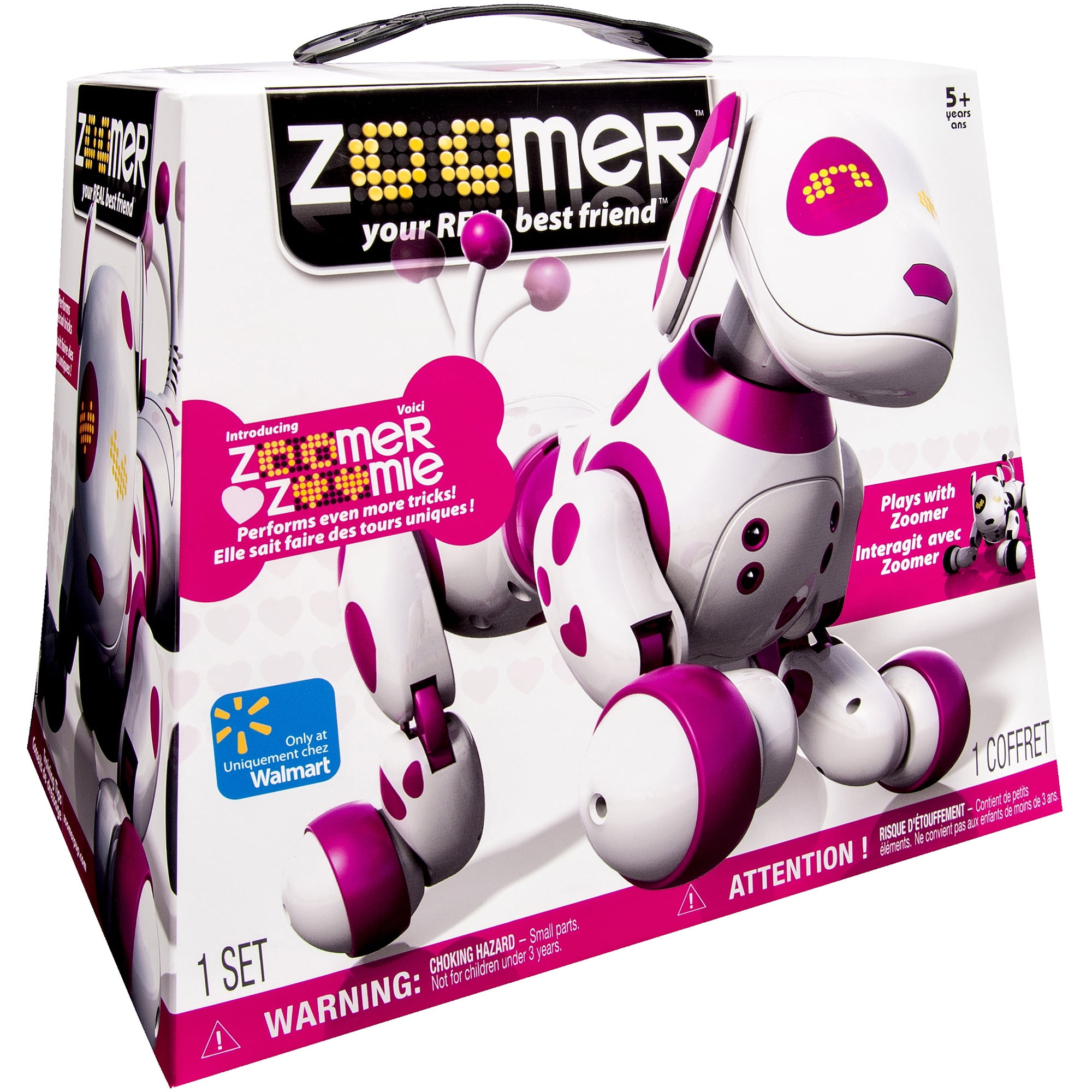 pink zoomer dog