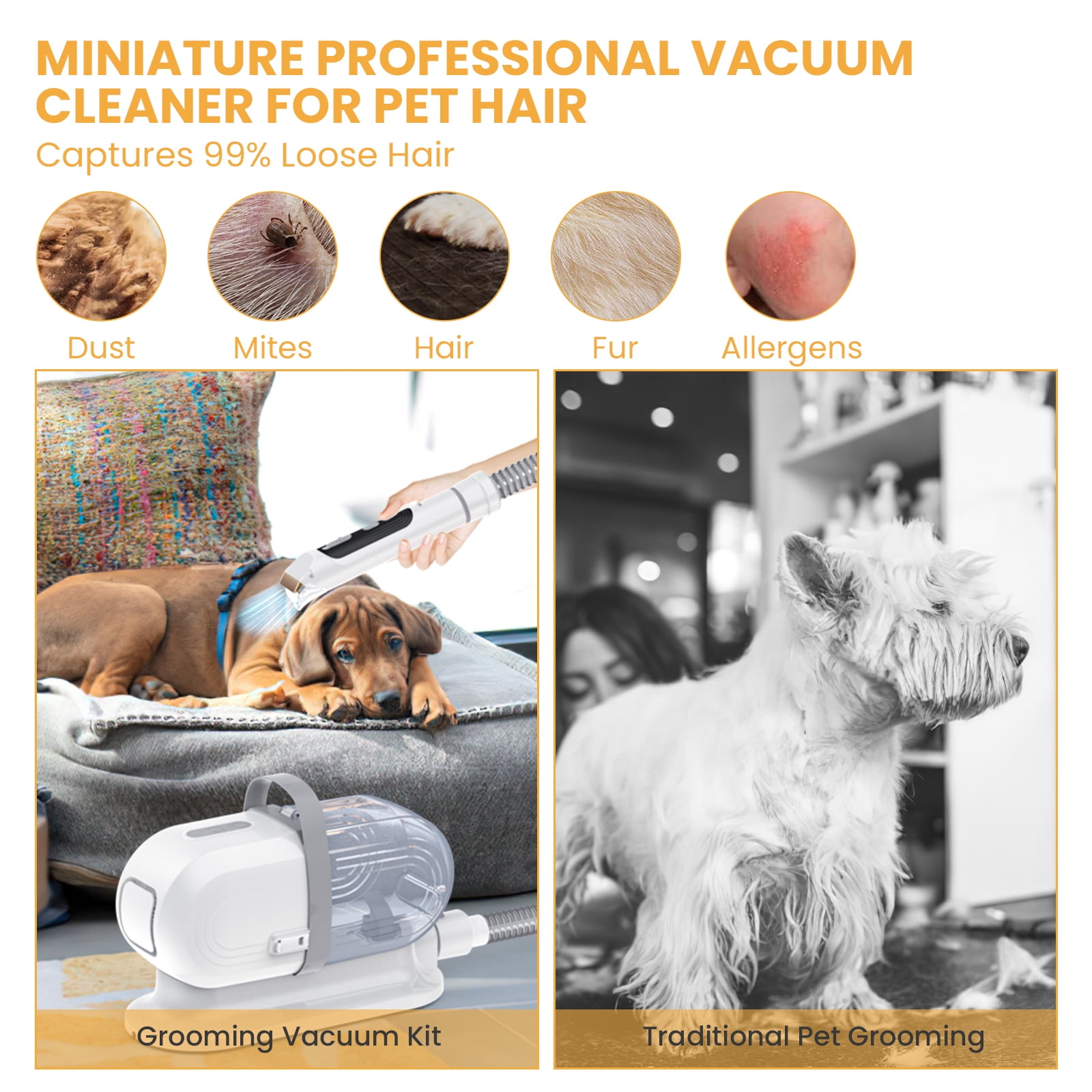 AUOSHI Pet Grooming Vacuum for Dogs & Cats, 13000Pa Suction, 5-in-1 Grooming Kit with Low Noise, 2.5L Dust Cup, Wireless Clippers, Deshedding Brush – Professional At-Home Pet Hair Cleaner