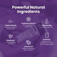 thumbnail image 5 of Everywhere Deodorant with Probiotics - Berry Scent | Aluminum-Free, Naturally Absorbs Moisture | Fights Odor & Bacteria | Skin-Improving Formula - 3 Pack, 5 of 6