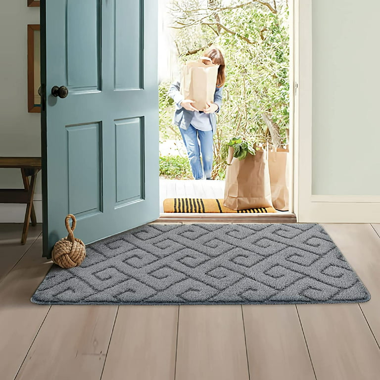 DEXI Indoor Doormat Front Door Rug, Absorbent Machine Washable
