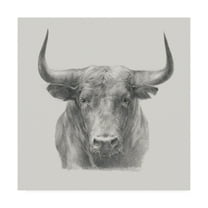 Trademark Fine Art 'Black Bull' Canvas Art by Ethan Harper