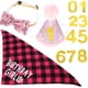 thumbnail image 4 of KAKOWELY 1 juego de gorro y babero de cumpleaños para gato, pajarita decorativa para gato, gorro y babero con números de feliz cumpleaños, 4 of 4