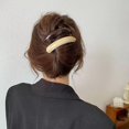 thumbnail image 2 of Pasadores De Pelo Flacos Para Mujeres Pinzas Para El Cabello Francesas De Acrílico Simples Y Largos Horquillas Clásicas Elegantes Abrazadera De Clip De Acero Accesorios Para El Cabello Para, 2 of 5