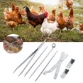 thumbnail image 2 of Kit de cuchillos de herramienta de capón de pollo de acero inoxidable, instrumento veterinario para aves de corral, 2 of 9