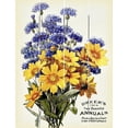thumbnail image 1 of Wood Wall Art - Dreer's Two Beautiful Annuals, 1 of 1
