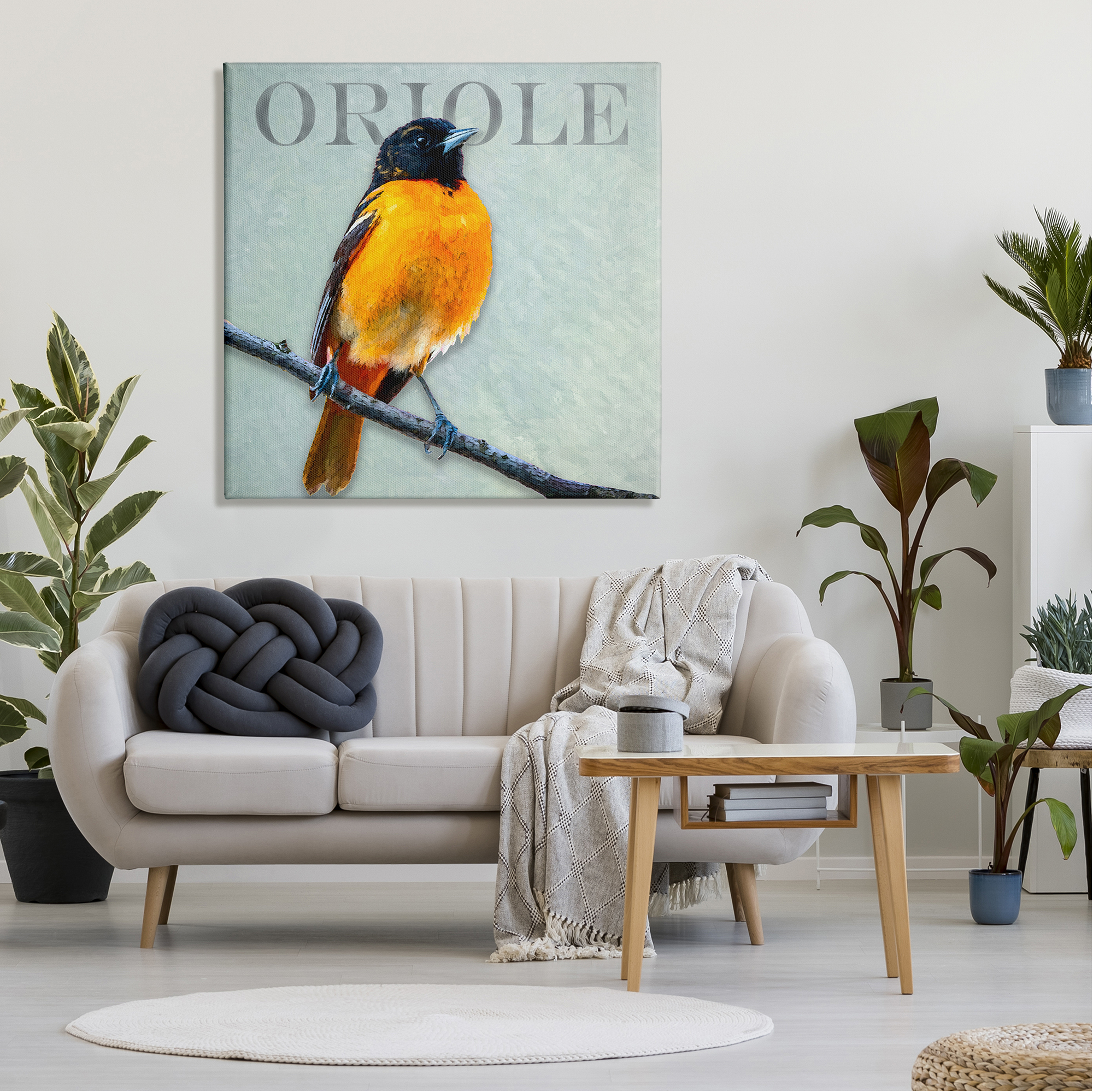 Stupell Industries Detailed Oriole Bird Portrait Perched Wildlife Animal Graphic Art Gallery Wrapped Canvas Print Wall Art, Design by Alpenglow Workshop