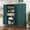 green, variant on Polup Modern Metal Pantry Cabinet, 75" H, Adjustable Shelves and Doors, Black