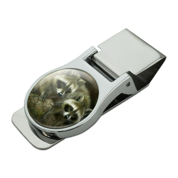 Cute Raccoons Curiosity Satin Chrome Plated Metal Money Clip