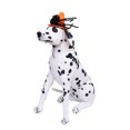 thumbnail image 3 of CHICHUMID Pet  Hat Pet  Hat Felt Orange for Cats 1Pack, 3 of 8
