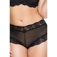 thumbnail image 4 of QT Intimates Kelly Lace and Mesh Boyleg Panty 5554QTP, 4 of 4