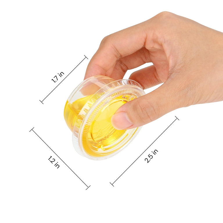 Edi Clear Plastic Disposable Portion Cups/Souffle Cup with Lids (100, 4 oz)