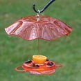 thumbnail image 2 of Birds Choice 12 oz. Oriole-Fest Feeder with Weatherguard, Orange, 2 of 11