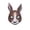 B002- Brown, variant on Dress Up Party Accessory, Halloween Bunny Animal Mask, Masquerade Mask for Halloween Party, Scary Face Mask Prop, 12X7 Inch Antique Gold Finish Lightweight Full Face Mask,