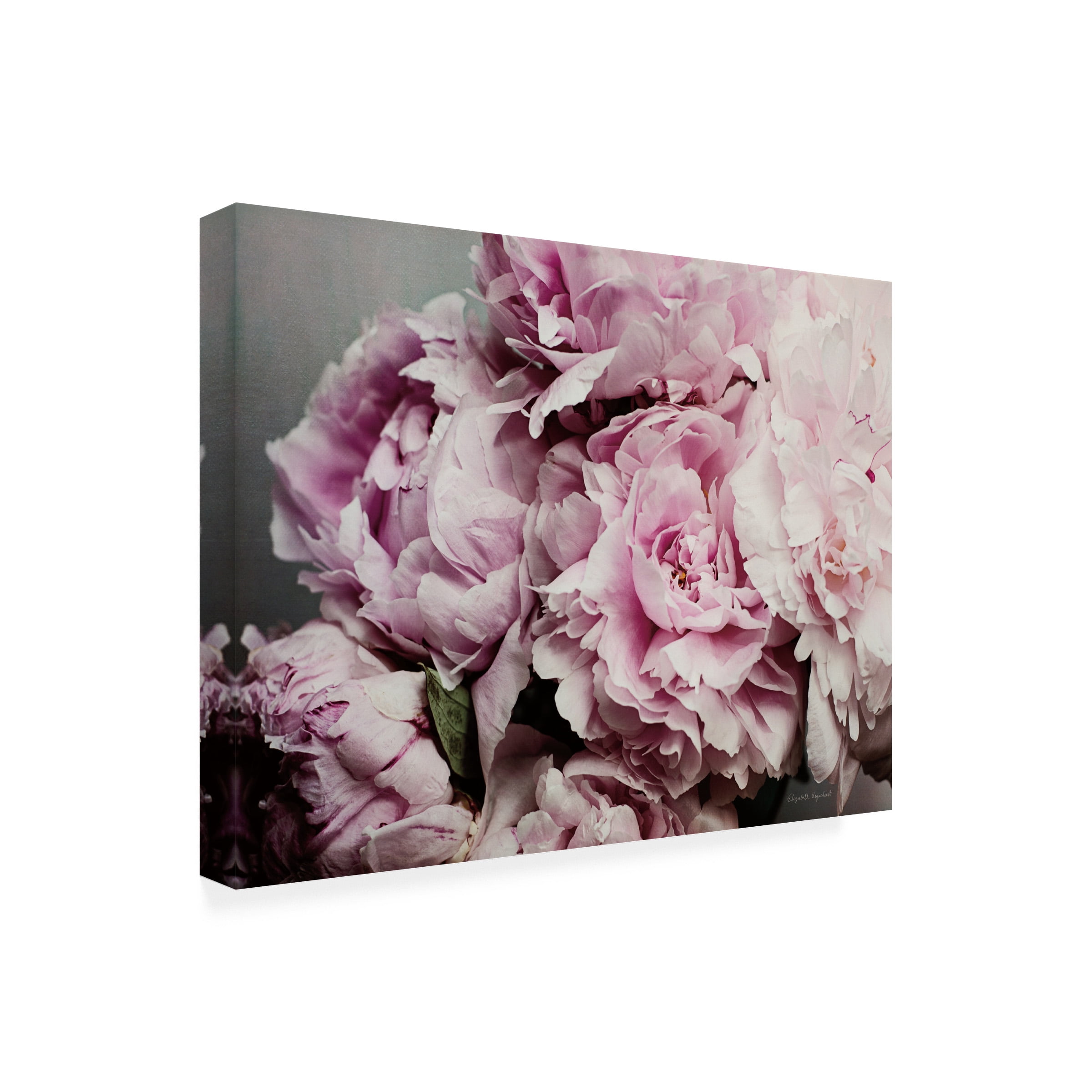 Elizabeth Urquhart 'Peonies Galore II' Canvas Art