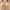 33-Khaki, variant on YWDJ Bras for Women Sleeping Closure in Back Lounge Bras Wirefree Comfortable Bras Wide Strap Full Coverage Push up Wrap Bras Padded Plus Size Comfortable Bras Sleep Bras Black 2XL