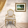 thumbnail image 3 of Vest, Christopher 24x19 Gold Ornate Wood Framed with Double Matting Museum Art Print Titled - Cottonwood Fog, 3 of 4