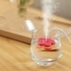 thumbnail image 2 of Humidificador de Aire Ultrasónico DQrwqpou Difusor Aroma Generador Niebla 5V 1A 30 Uds rojo, 2 of 5