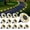 12 Pack Warm White, variant on Solar Ground Lights 12 Pack, Upgraded Solar Garden Lights Auto /Off Landscape Lighting Outdoor In-Ground Lights Long Lasting for Pathway Walkway Patio (Warm White)