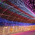 thumbnail image 3 of Tira de iluminación intermitente para interior y exterior, luces de decoración de hadas centelleantes para árbol de Navidad, fiesta de boda, novedad, 600 LED, 100M, 3 of 3