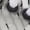 White/Black-University Red, variant on Nike Air Presto White/Black-University Red CT3550-101 Men's Size 8 Medium