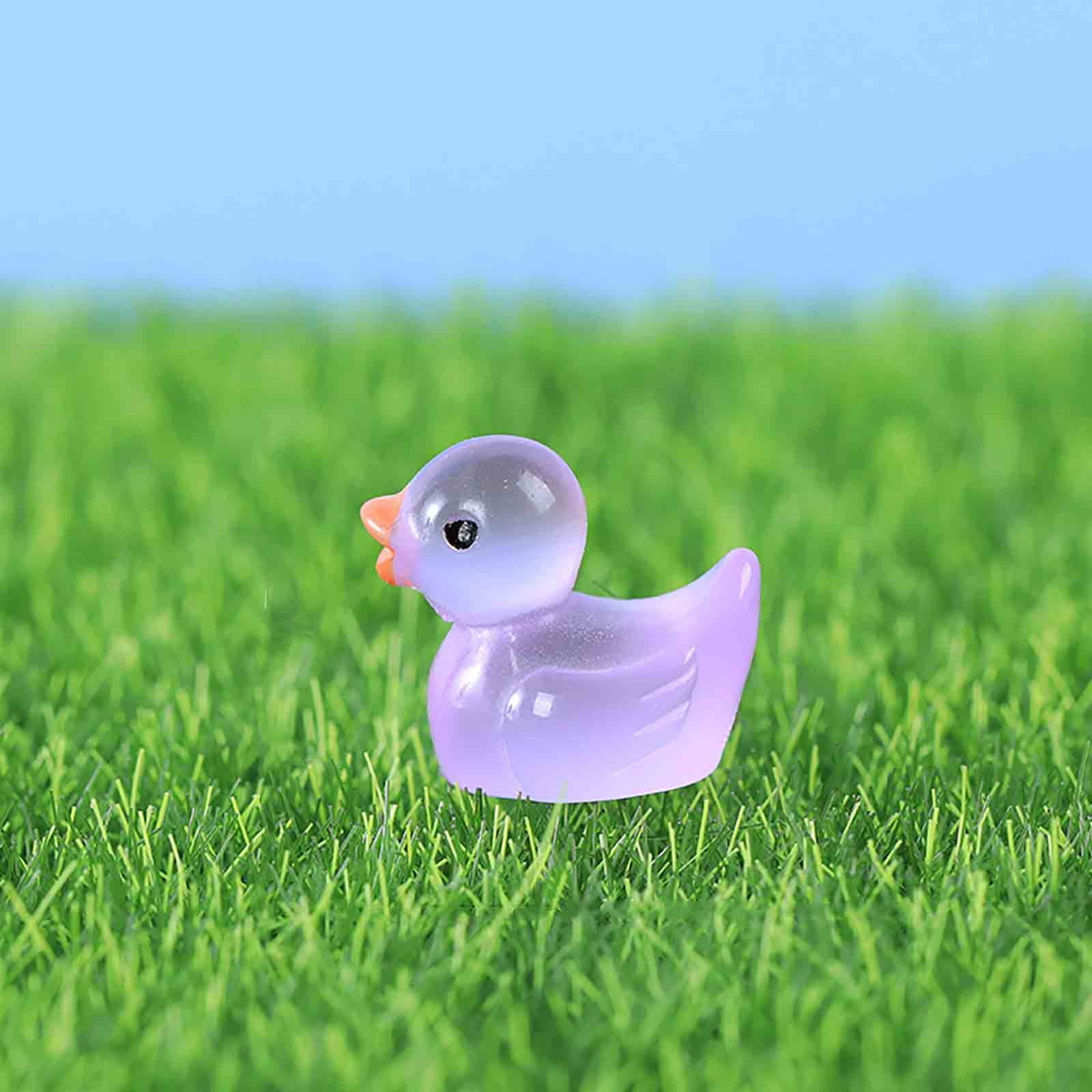 6Pcs Mini Ducks Luminous Duck Ornament Miniature Figures Tiny Duck Micro  Fairy Garden Landscape Fairy Garden