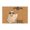 G, variant on Halloween Door Welcome Interesting Shape Carpet Water Absorbing Wear Carpet Indoor And Outdoor Welcome Carpet Carpet Halloween Decorations
