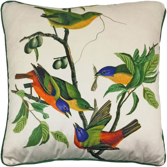 John James Audubon Painted Finch Filled Cushion