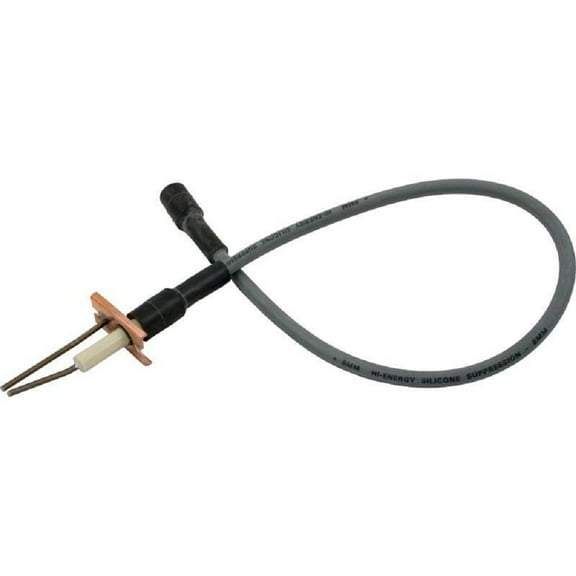Hayward IDXIGN1930 Igniter for H-Series Heater