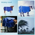 thumbnail image 7 of Waterproof Calf Blanket, Thickened Warm Clothes Coat for Little Bull Cattle Ox Cow, 7 of 7