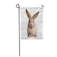 thumbnail image 1 of JSDART Gray White Bunny Cute Rabbit Easter Adorable Claws Garden Flag Decorative Flag House Banner 28x40 inch, 1 of 1