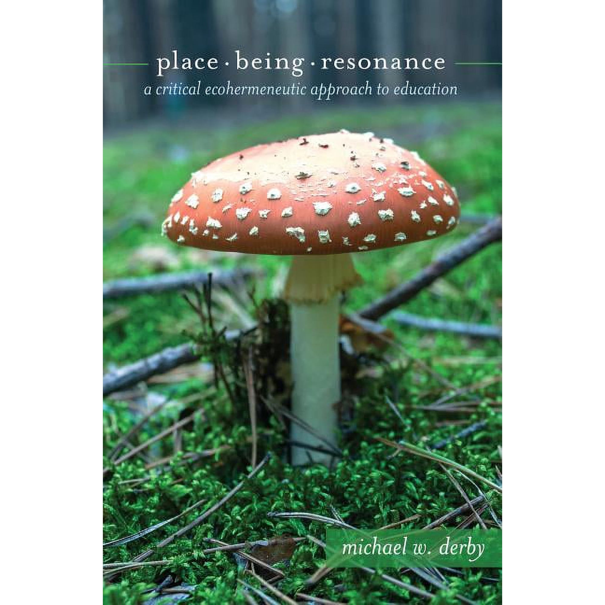 Critical Qualitative Research Place, Being, Resonance: A Critical Ecohermeneutic Approach to Education, Book 18, (Hardcover)