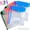 Vertical *12, variant on 11-Hole Expanding File Pockets Assorted Colors, Snap Button and Label Slots, Waterproof Binder Organizer for 2/3/4 Ring Planners, Home Office Storage (Vertical *6)