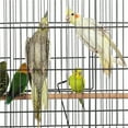 thumbnail image 6 of Alden Design 60.5″H Extra-Large Wrought Iron Parrot Cage Bird Cage with Stand, Black, 6 of 8