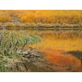 thumbnail image 2 of Flaherty, Dennis 24x19 Black Ornate Wood Framed with Double Matting Museum Art Print Titled - CA, Autumn reflect in North Lake near Bishop, 2 of 4