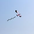 thumbnail image 6 of 3D Seagull for Kids Easy to Fly Outdoor Games and Activities Toy, Single Trips Toys Huge Wing s, 6 of 10