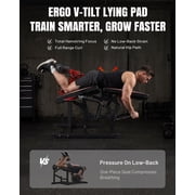 Mikolo NOVA™ Leg Extension and Curl Machine, Adjustable Leg Curl Machine for Home Gym, Seated Leg Extension and Lying Leg URL Machine, Leg Workout Equipment with 160lb Weight Plates
