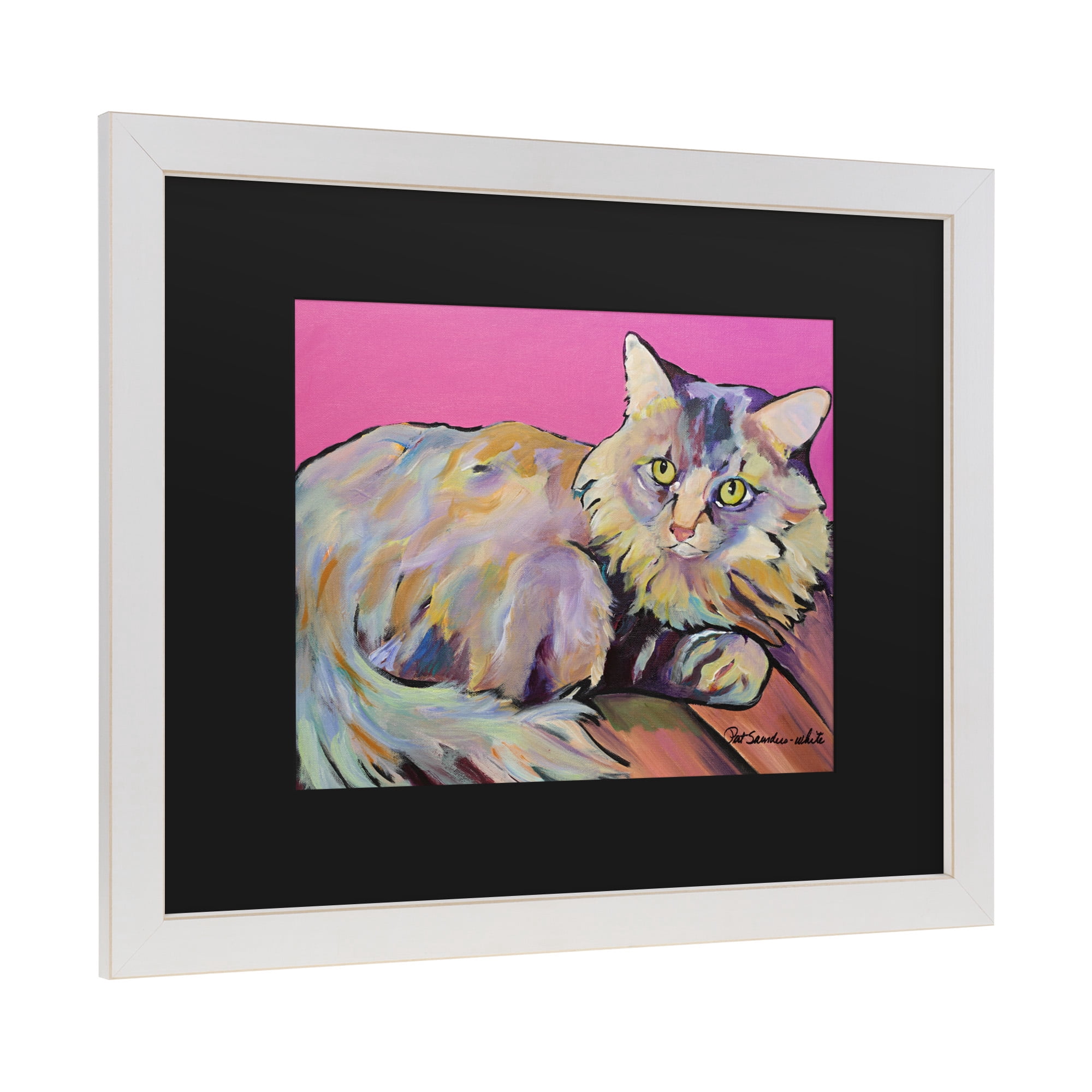 Trademark Fine Art 'Catatonic' Canvas Art by Pat Saunders-White