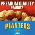 thumbnail image 4 of Planters Heat Peanuts, 1.75 oz Pack, 4 of 12