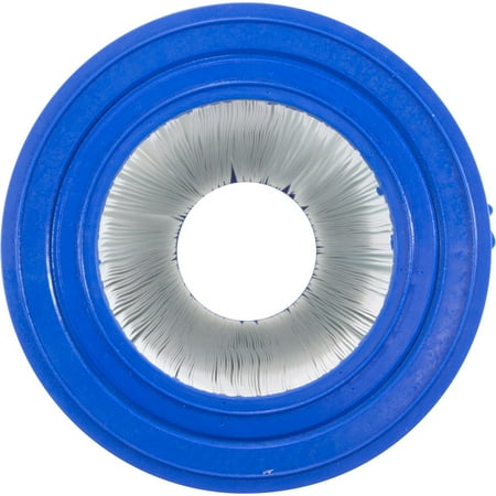Pentair R173217 200 Square Feet Cartridge Element for Pool and Spa Filters