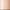 110 Ivory, variant on Revlon PhotoReady Insta-Filter Foundation - Caramel