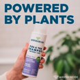 thumbnail image 4 of Shampoo Wondercide natural con aceites contra pulgas y garrapatas 354 ml, 4 of 6