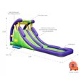 thumbnail image 5 of Double Water Slide with Splash Pool, 5 of 5
