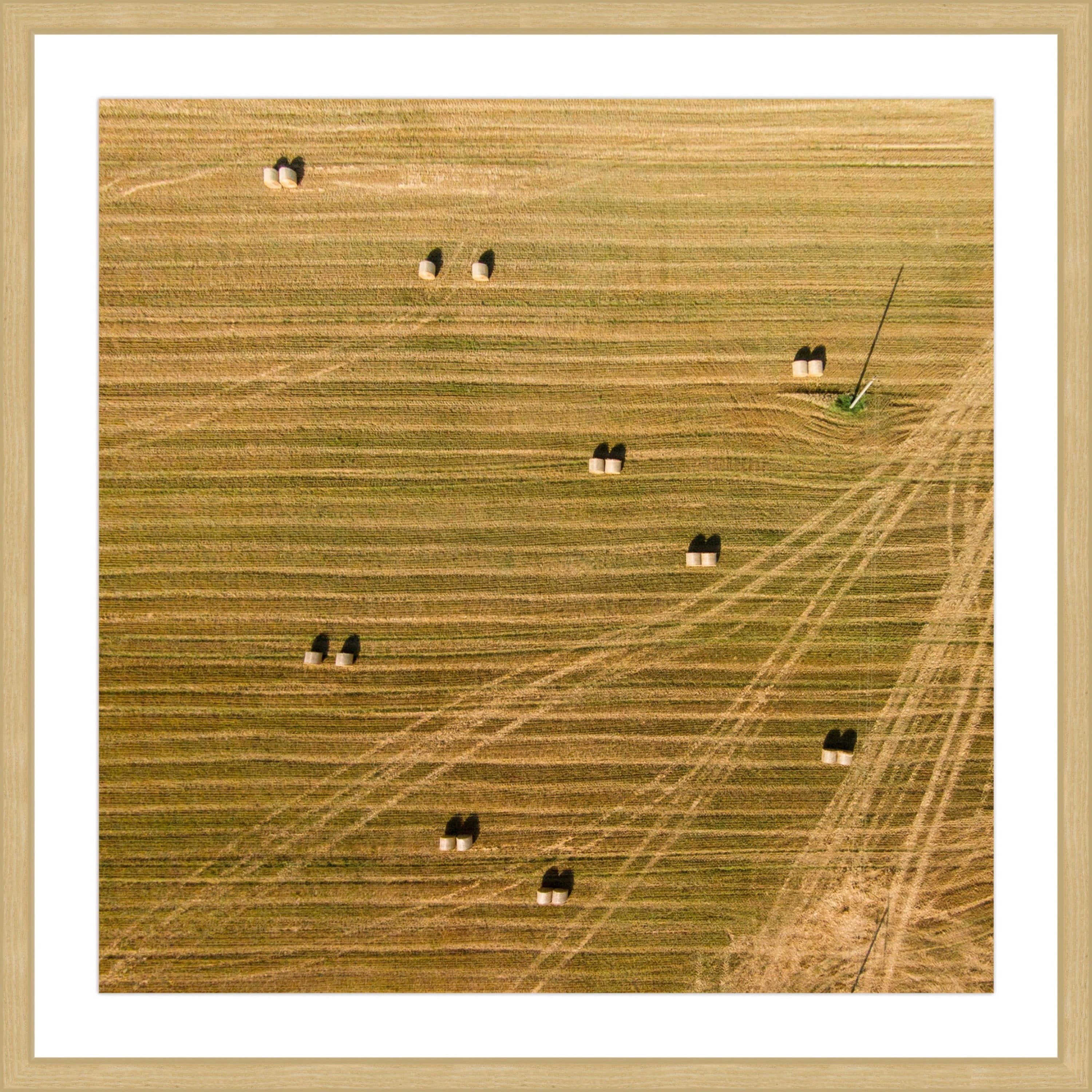 Marmont Hill "Tractor Trails" by Karolis Janulis Framed Painting Print