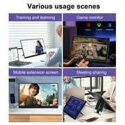 HOWENS Portable Monitor 17.3 inch, FHD 1080P IPS Screen Laptop Display 72%NTSC 300cd/㎡ Brightness