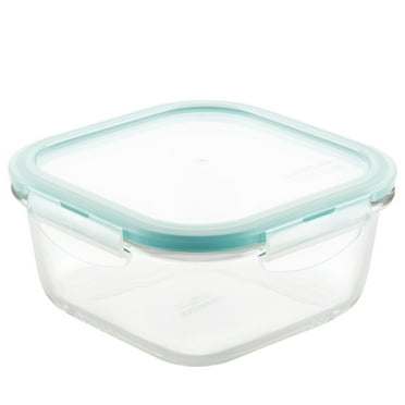 snapware 10 piece set