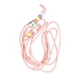 thumbnail image 5 of Correa para Caminar para Reptiles, Arnés Ajustable de Nylon Flexible y Luminoso, Cuerda de tracción para Lagarto, Tortuga, Lagarto, Rosa, 5 of 5