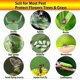 thumbnail image 4 of 2023 - 100 Pieces Yellow Double Sided Fly Trap, Double Sided Yellow Traps For Flying Insects - Greenhouse, 4 of 4