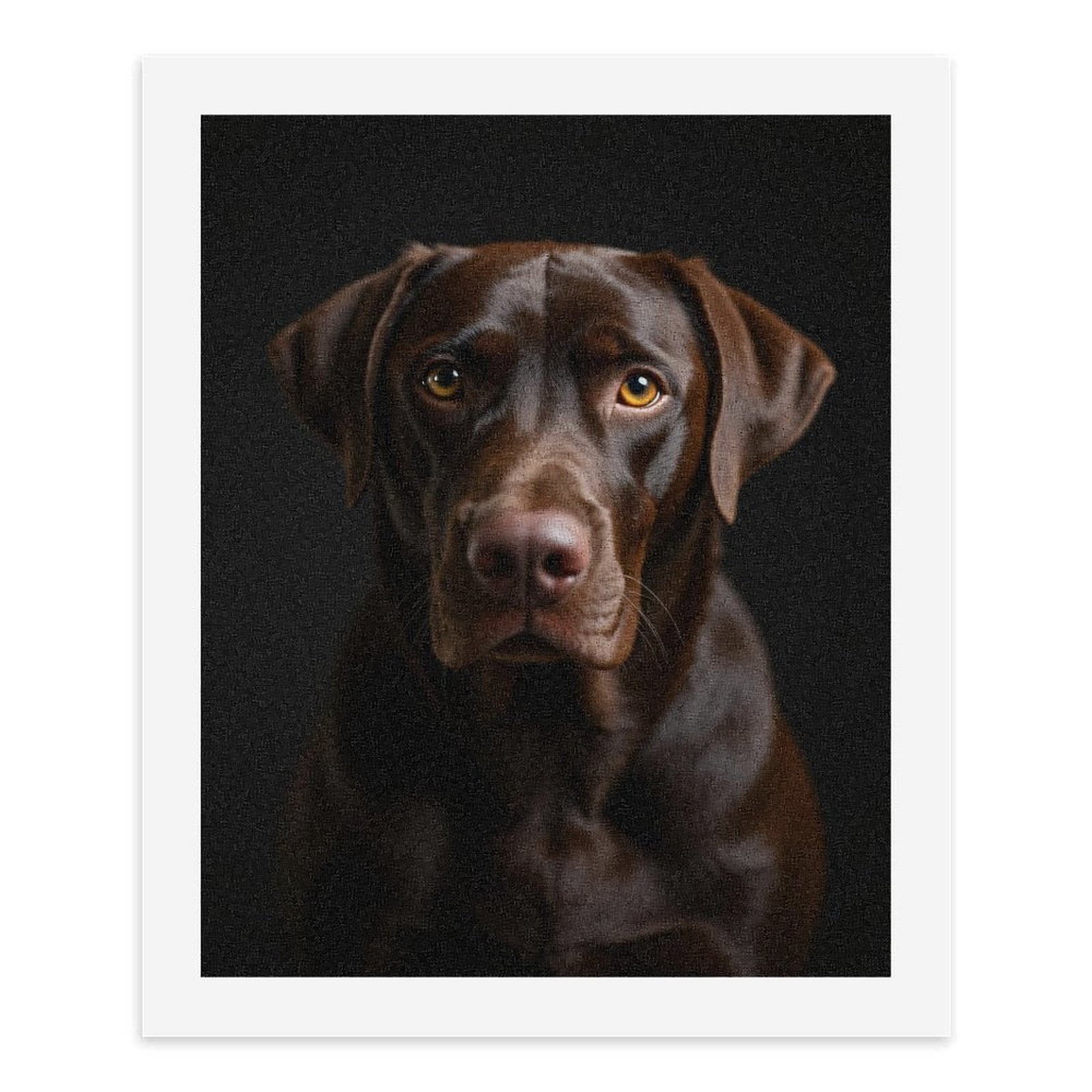 Paint By Numbers Kit for Adults Beginner - DIY Chocolate Labrador Portrait Canvas Painting Kits for Adults, Frameless Paint By Number for Adults for Home Wall Decor 16x20 Inch