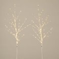 thumbnail image 3 of Nearly Natural 36in. Pre-Lit Artificial White Birch Branches with 150 Warm White LED Lights - Set of 2, 3 of 8